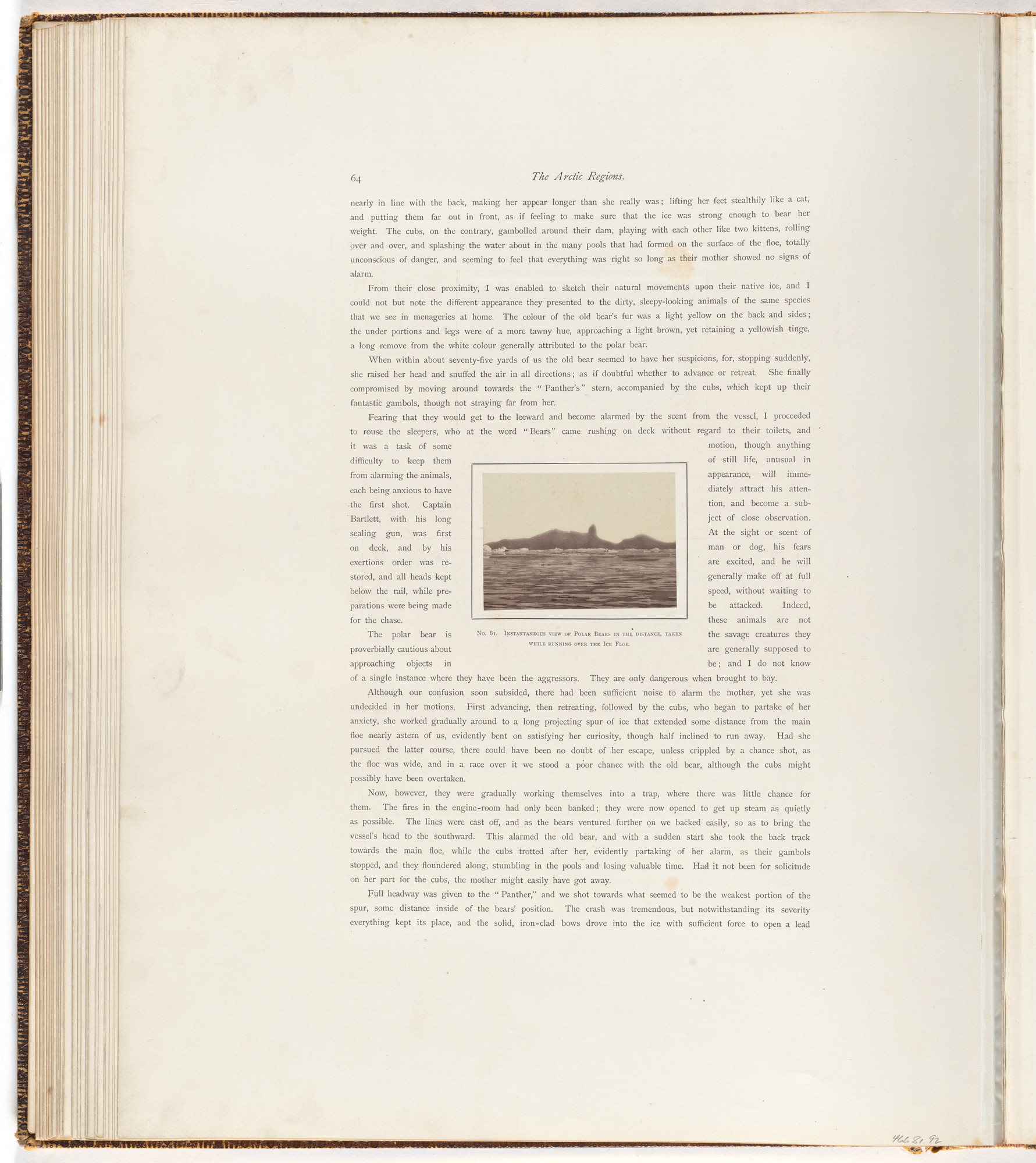 George P. Critcherson, John L. Dunmore, William Bradford. "Instantaneous view of polar bears in the distance, taken while running overthe ice floe."