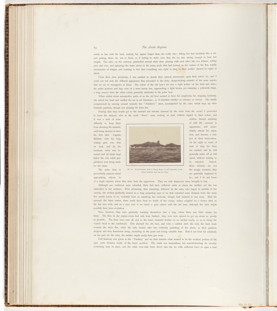 "Instantaneous view of polar bears in the distance, taken while running overthe ice floe." by George P. Critcherson, John L. Dunmore, William Bradford