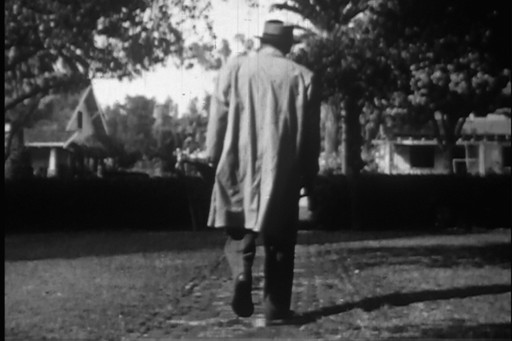 Jay Rosenblatt. The Darkness of Day