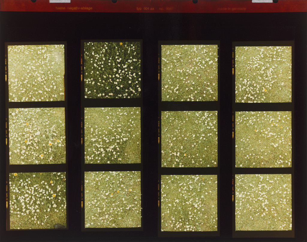 Structure Studies, Jan Dibbets, 1973