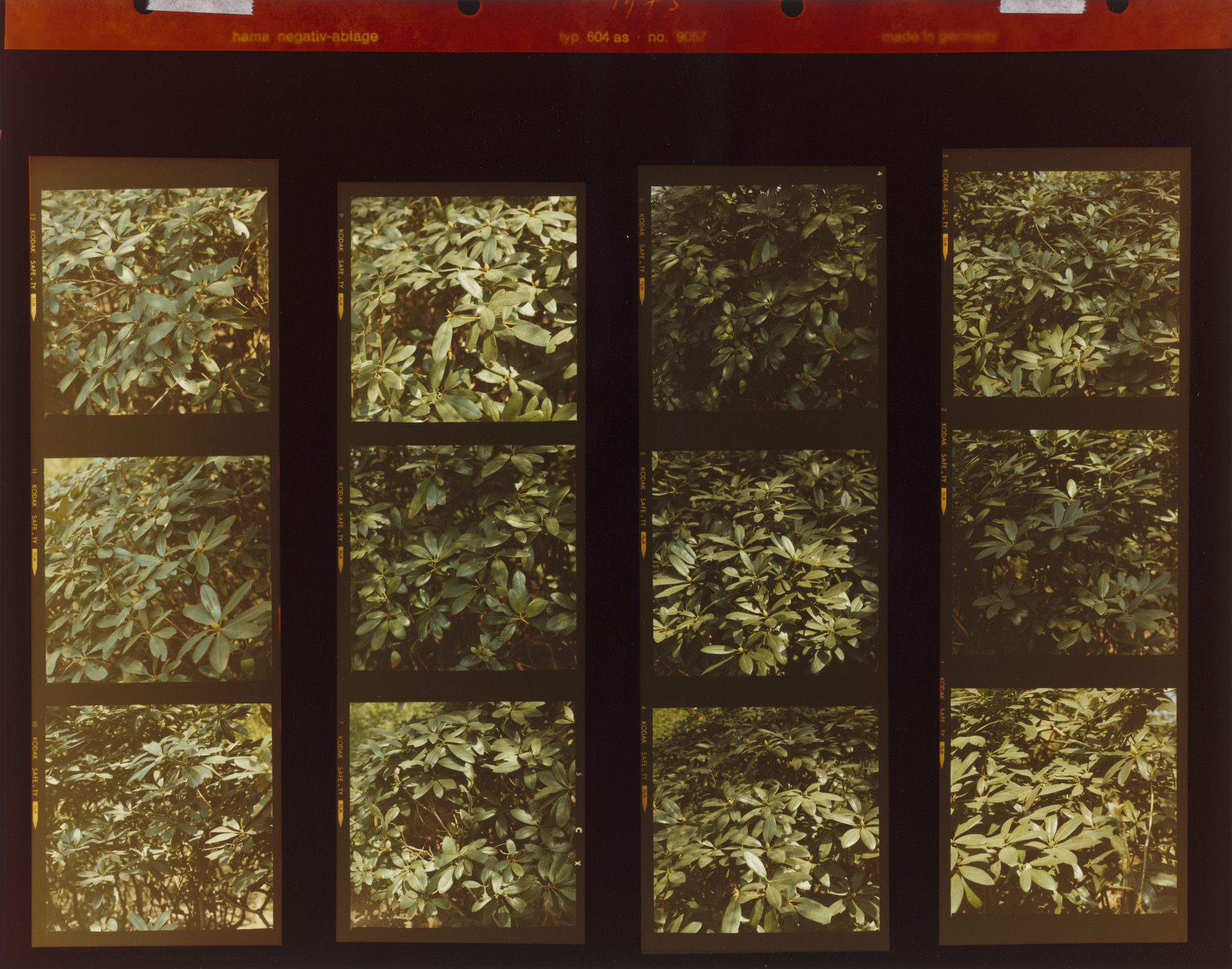 Jan Dibbets. Structure Studies