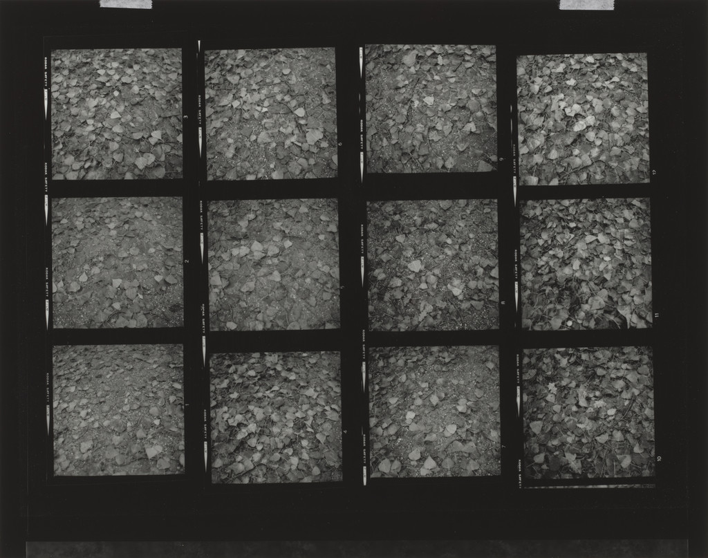 Structure Studies, Jan Dibbets, 1973