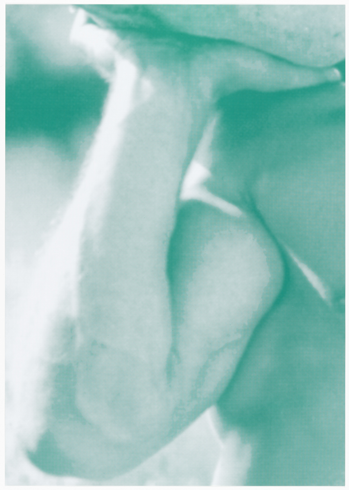 Katharina Fritsch. 7th Poster (Ibiza) (for Parkett, no. 100/101)