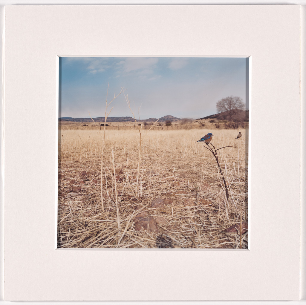 "TOGETHER" A17, January, February, March, 2007 (for Parkett, no. 100/101)