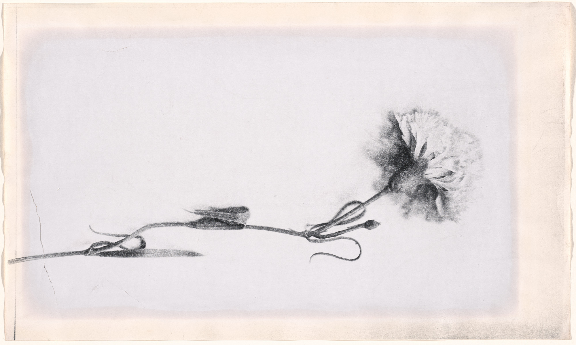 Claudio Perna. Untitled. c. 1970
