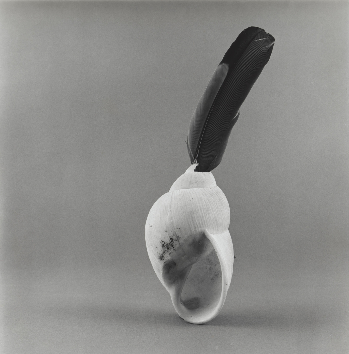 Claudio Perna, Abel Naím. Untitled. 1990