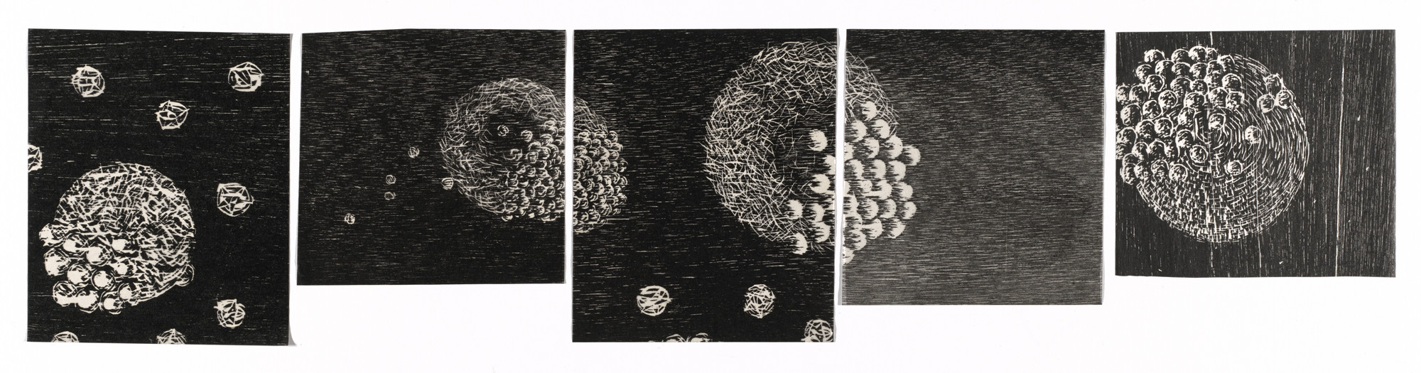 Kiki Smith. 'Cause I'm on My Time (inserts for Fawbush Gallery invitations)