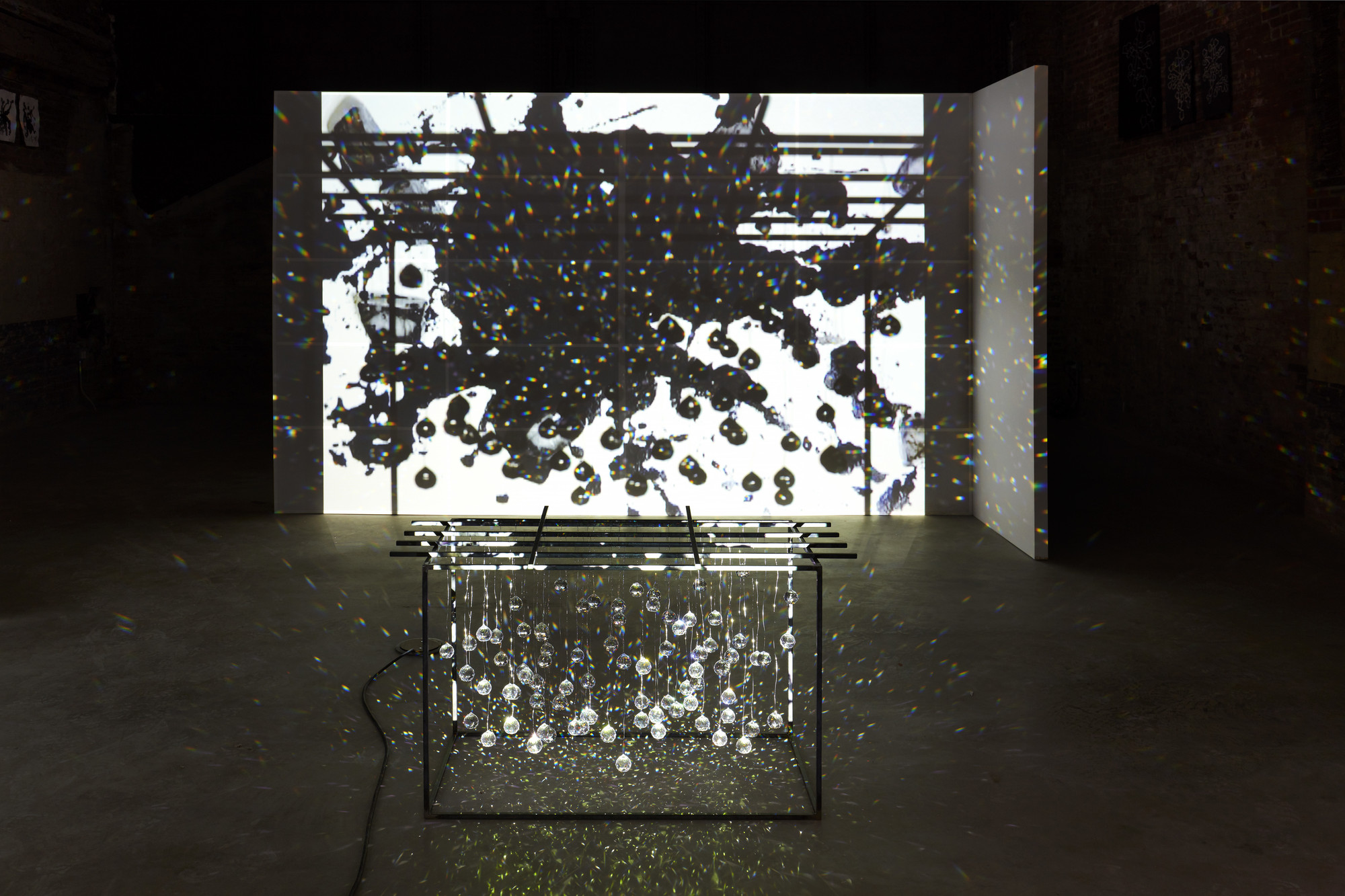 Joan Jonas. Reanimation. 2010/2012/2013
