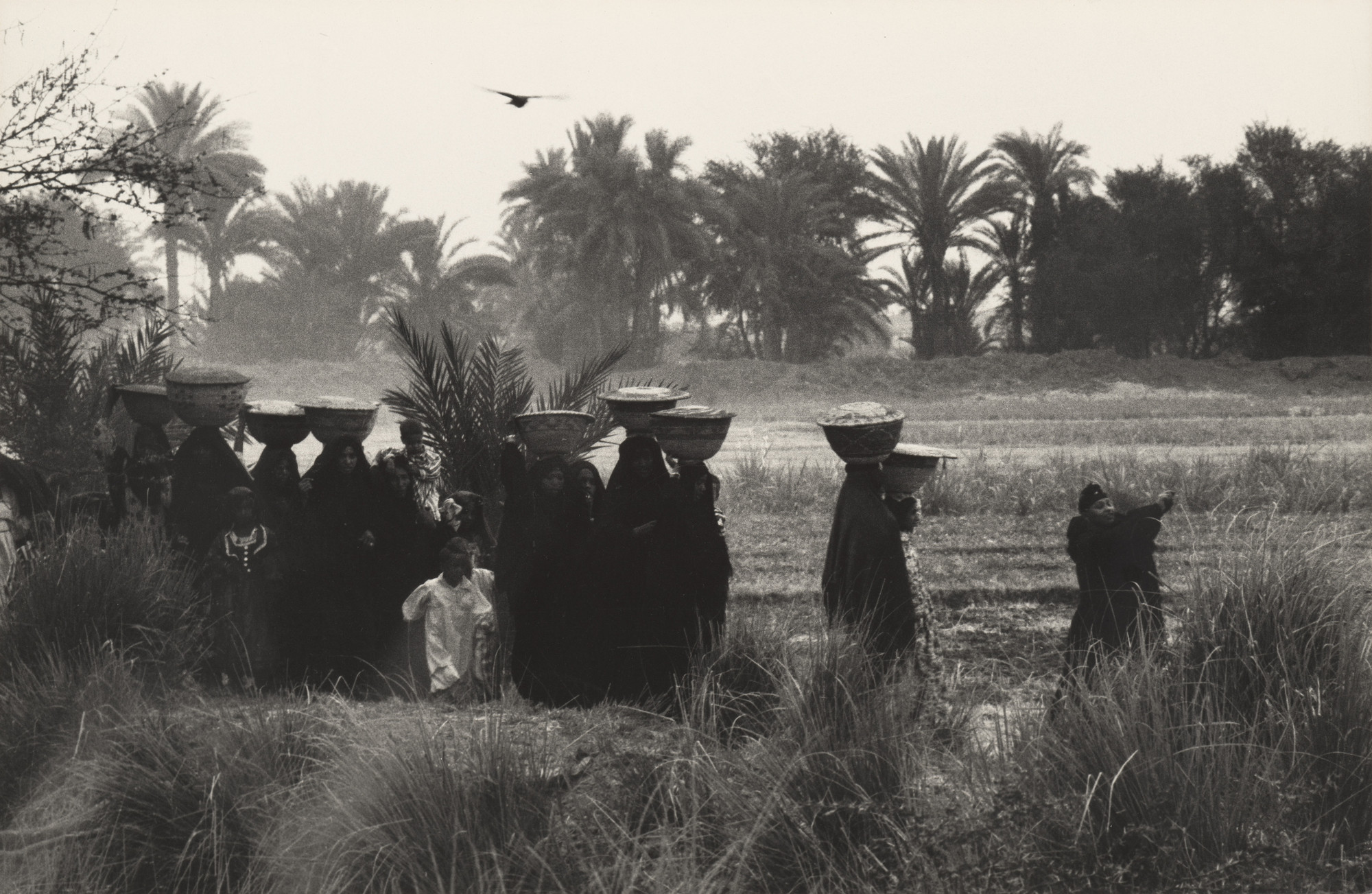 Dorothea Lange. Procession Bearing Food to the Dead, Upper Egypt. 1963