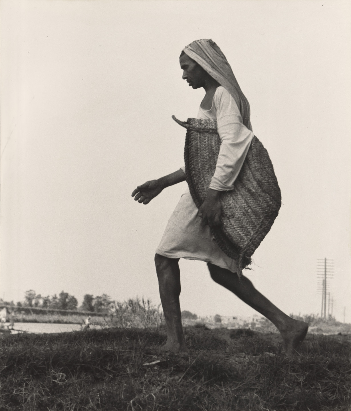 Dorothea Lange. Nile Delta, Egypt. 1963