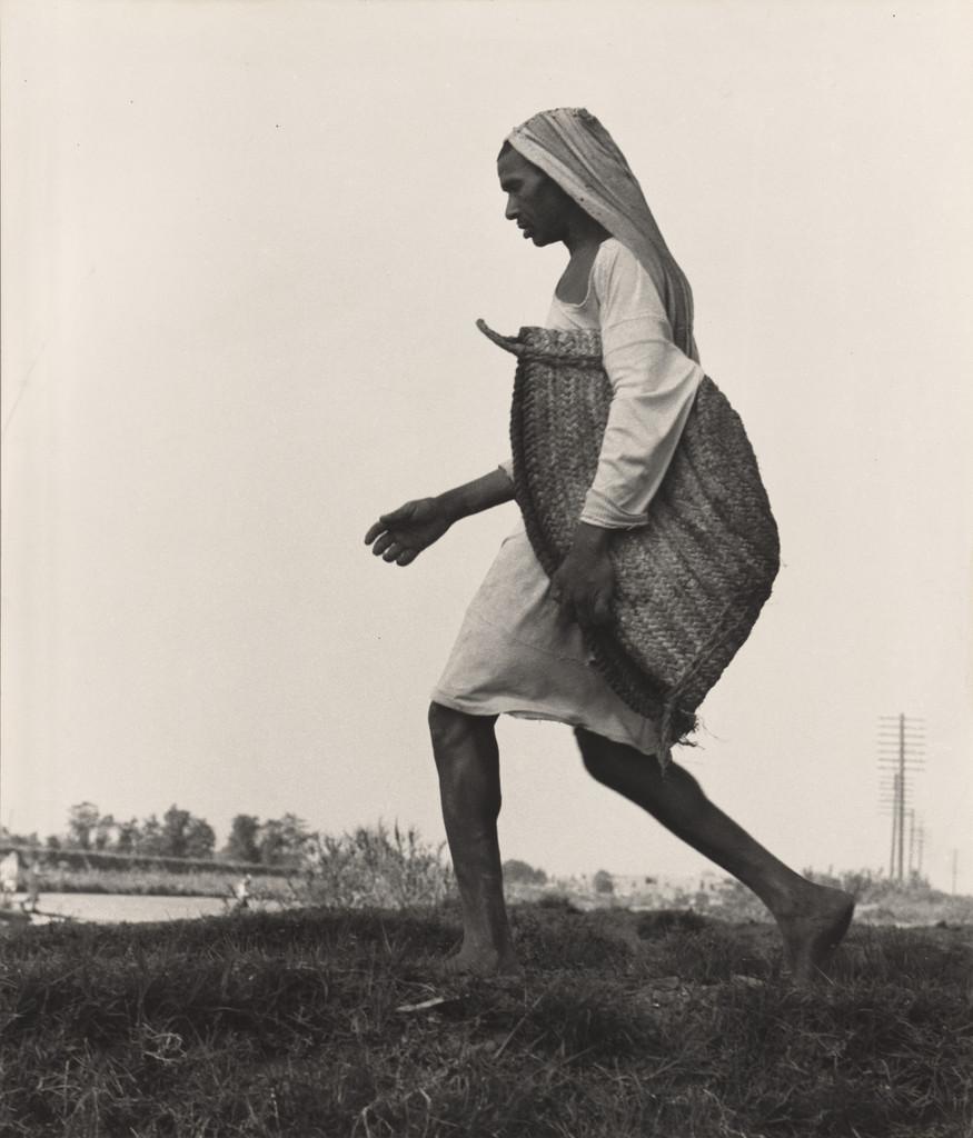 Nile Delta, Egypt