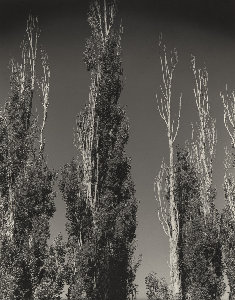 Untitled (Toquerville)