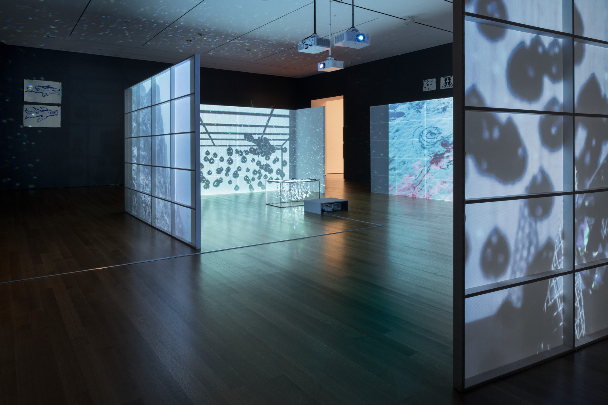 Joan Jonas. Reanimation. 2010/2012/2013