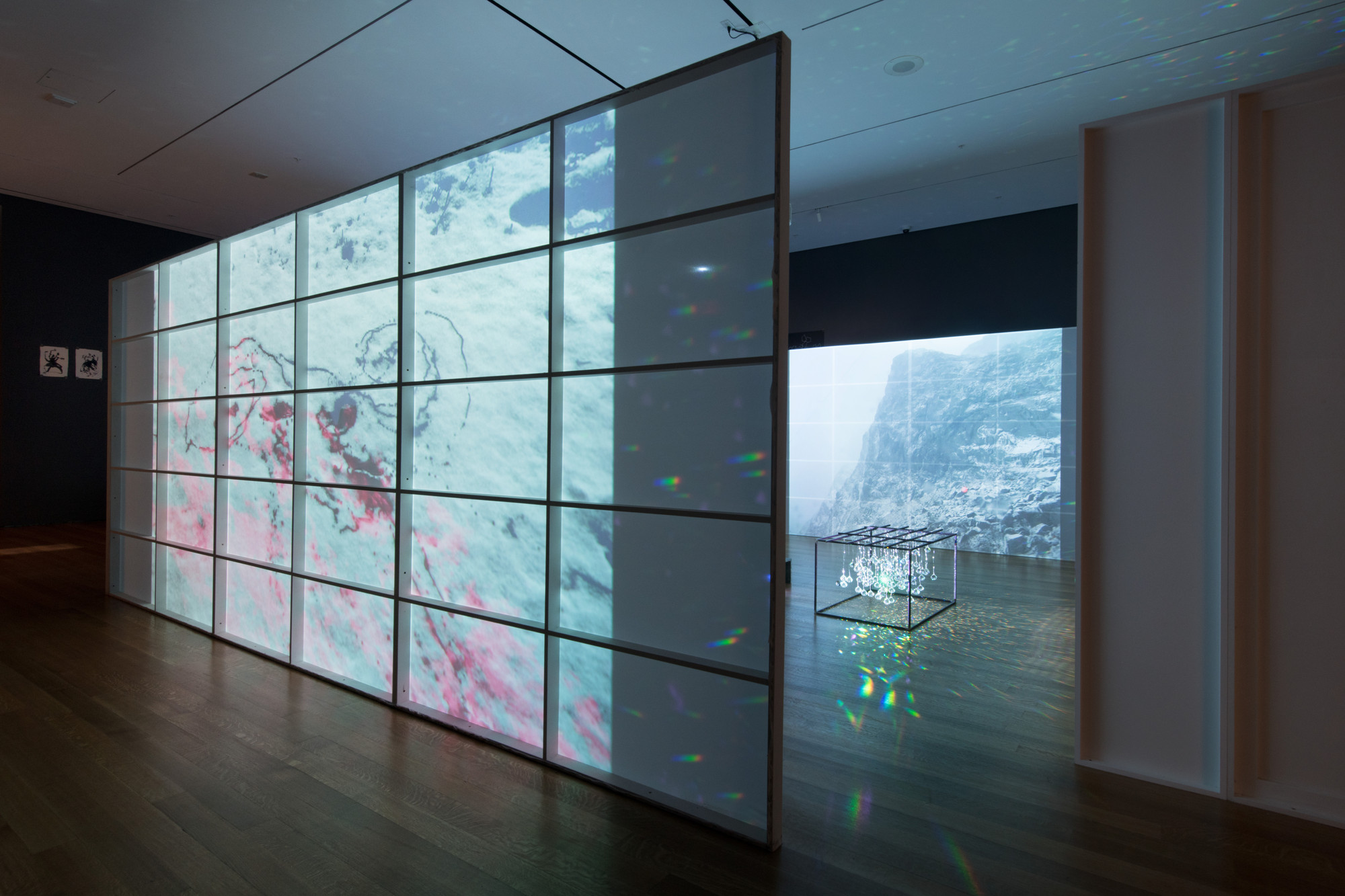 Joan Jonas. Reanimation. 2010/2012/2013