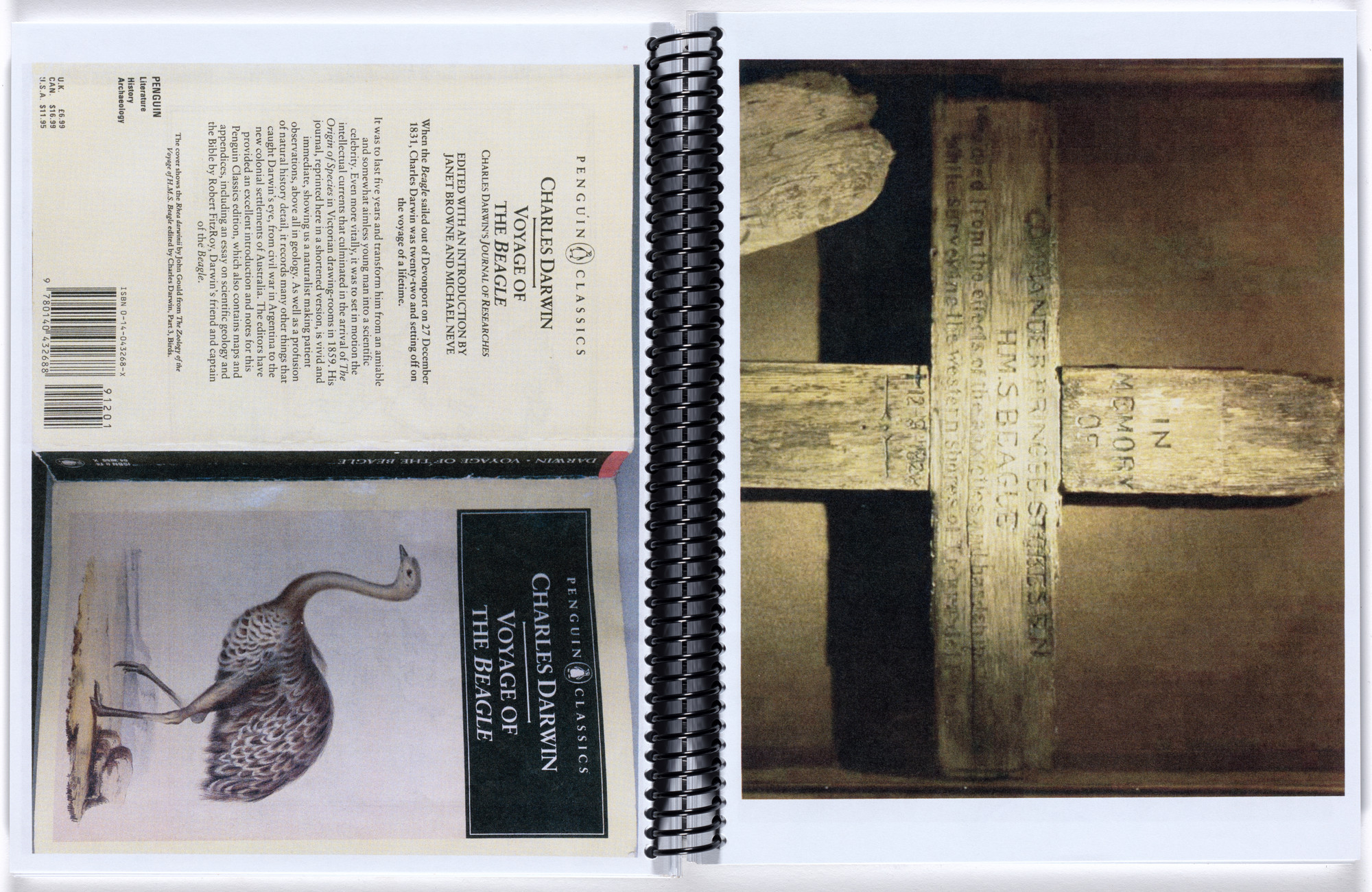 Rachel Harrison. If I Did It. 2014