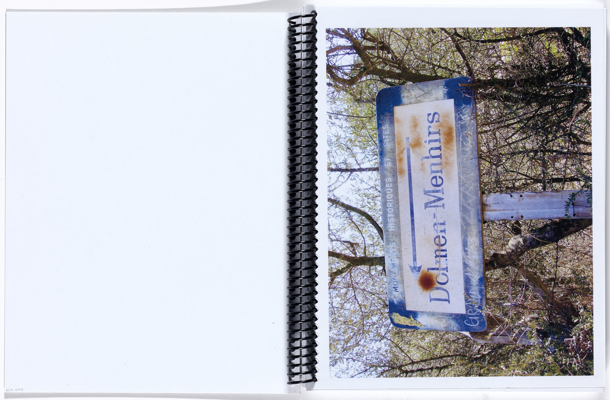 Rachel Harrison. If I Did It. 2014