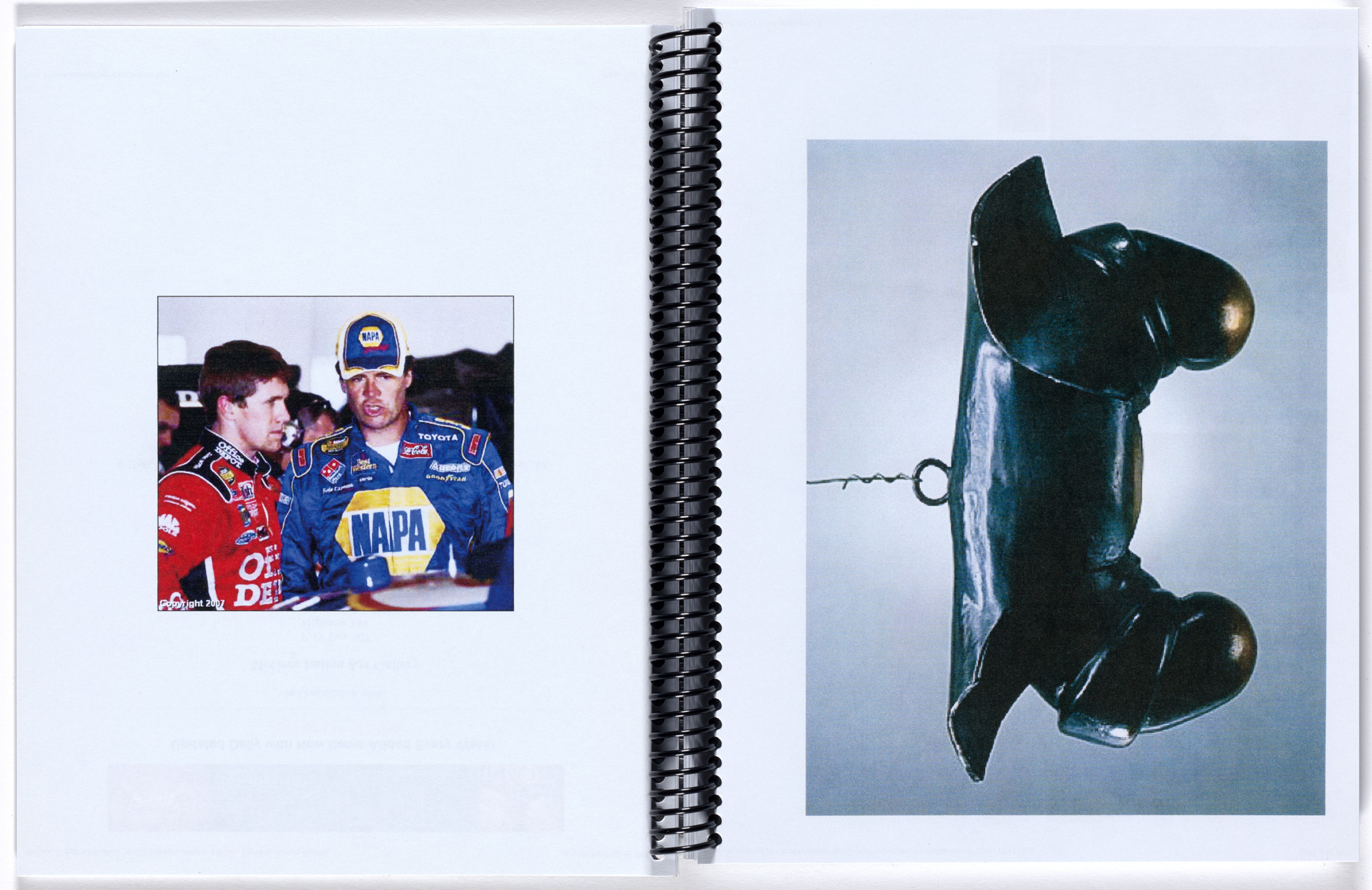 Rachel Harrison. If I Did It. 2014