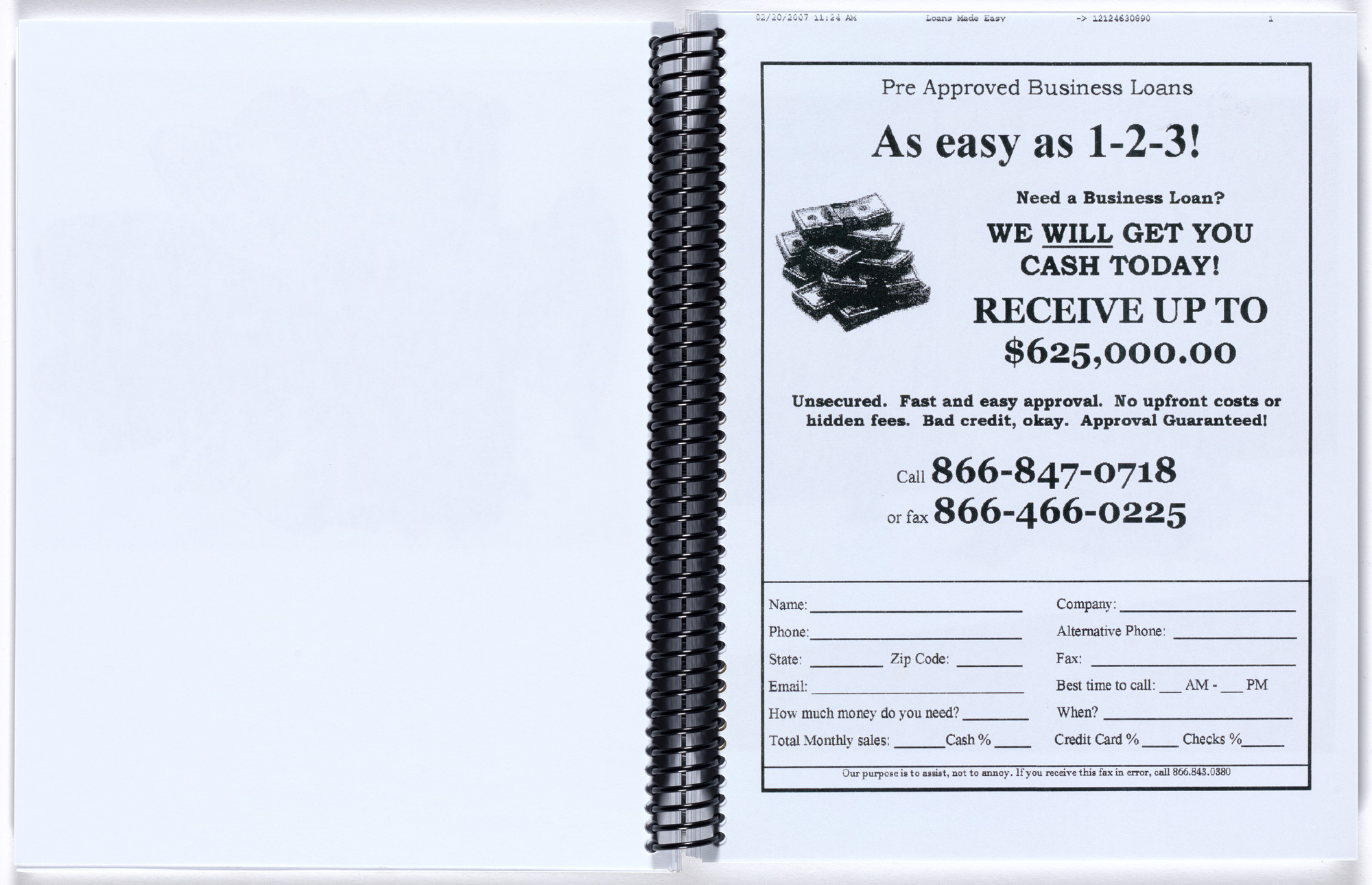 Rachel Harrison. If I Did It. 2014