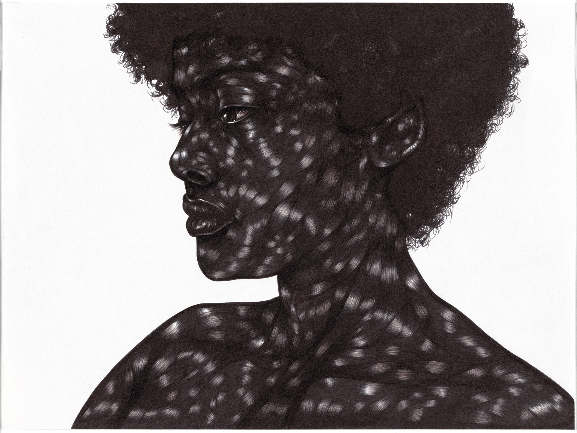 Toyin Ojih Odutola. Maebel. 2012