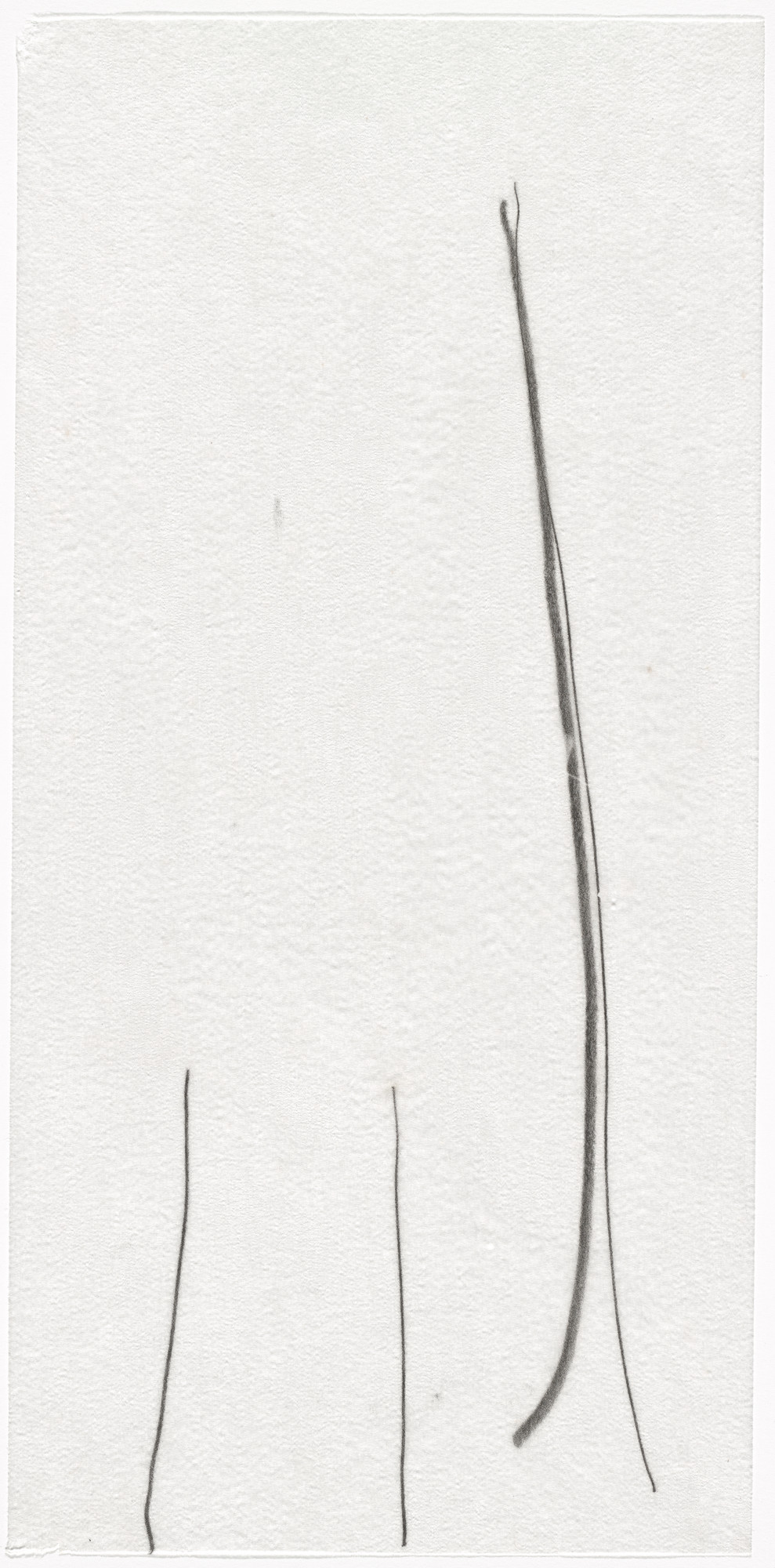 Mira Schendel. Untitled