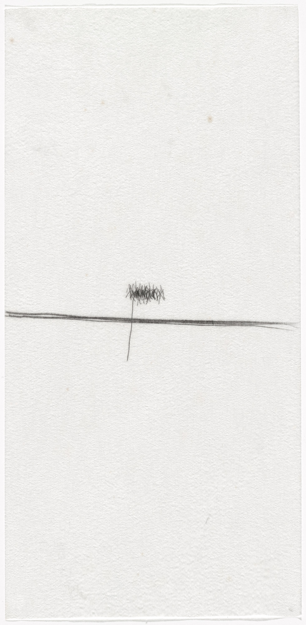 Mira Schendel. Untitled