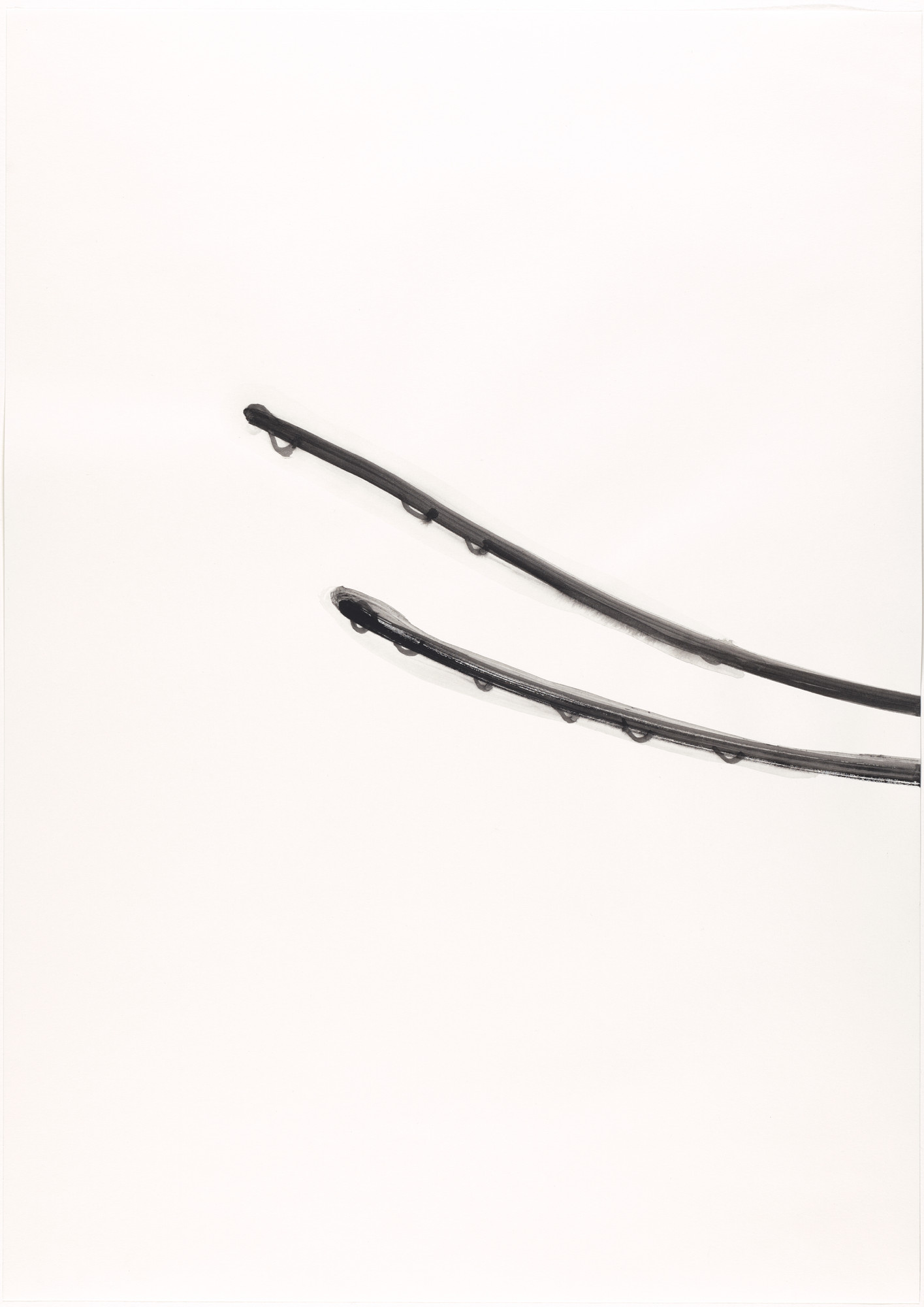 Silvia Bächli. Untitled