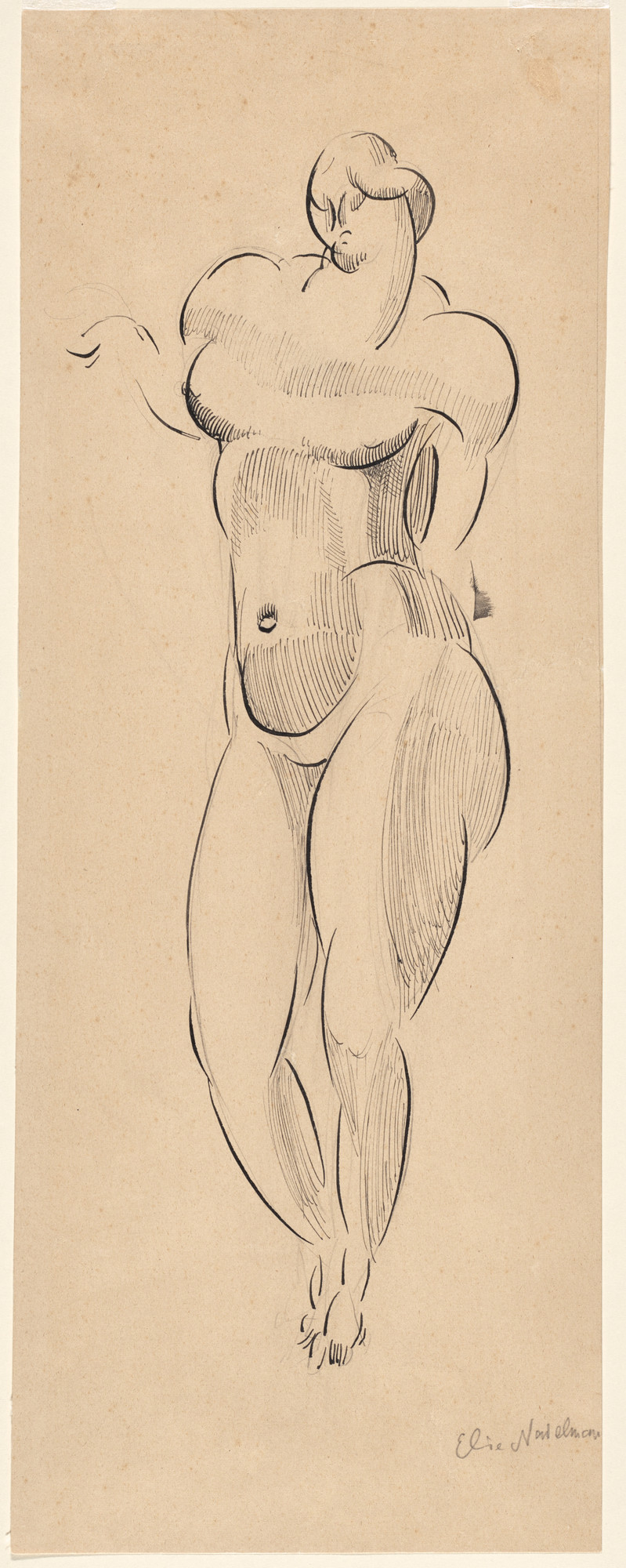 Elie Nadelman. Standing Nude