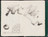 Ibrahim El-Salahi. Prison Notebook. 1976