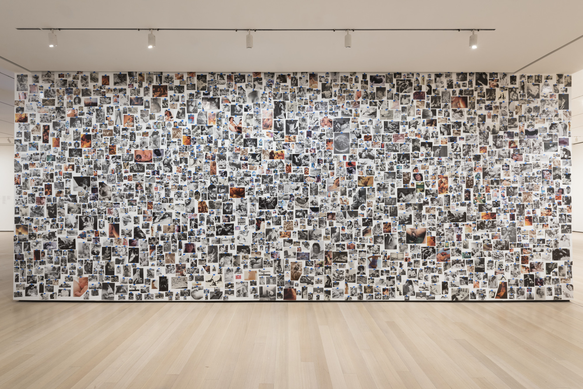 Carmen Winant. My Birth. 2018