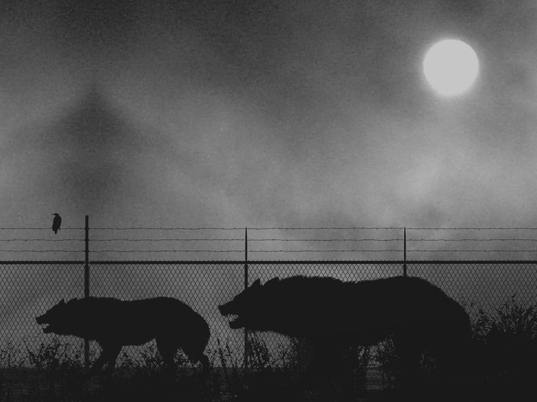 Carlos Amorales. Manimal. 2005
