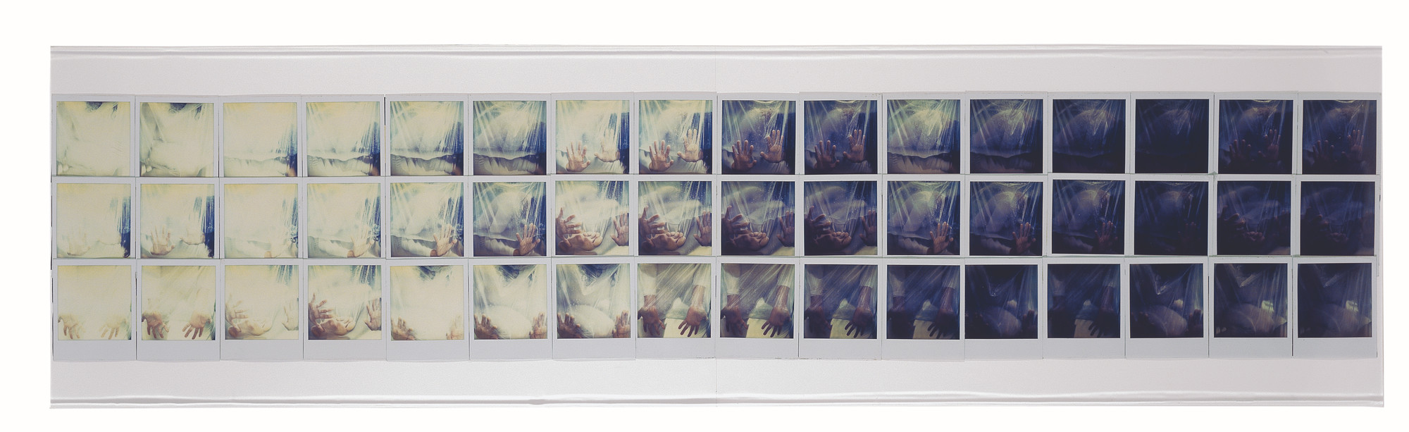 Yeni & Nan, Nan González, Jennifer Hackshaw. Integrations in water. 1981