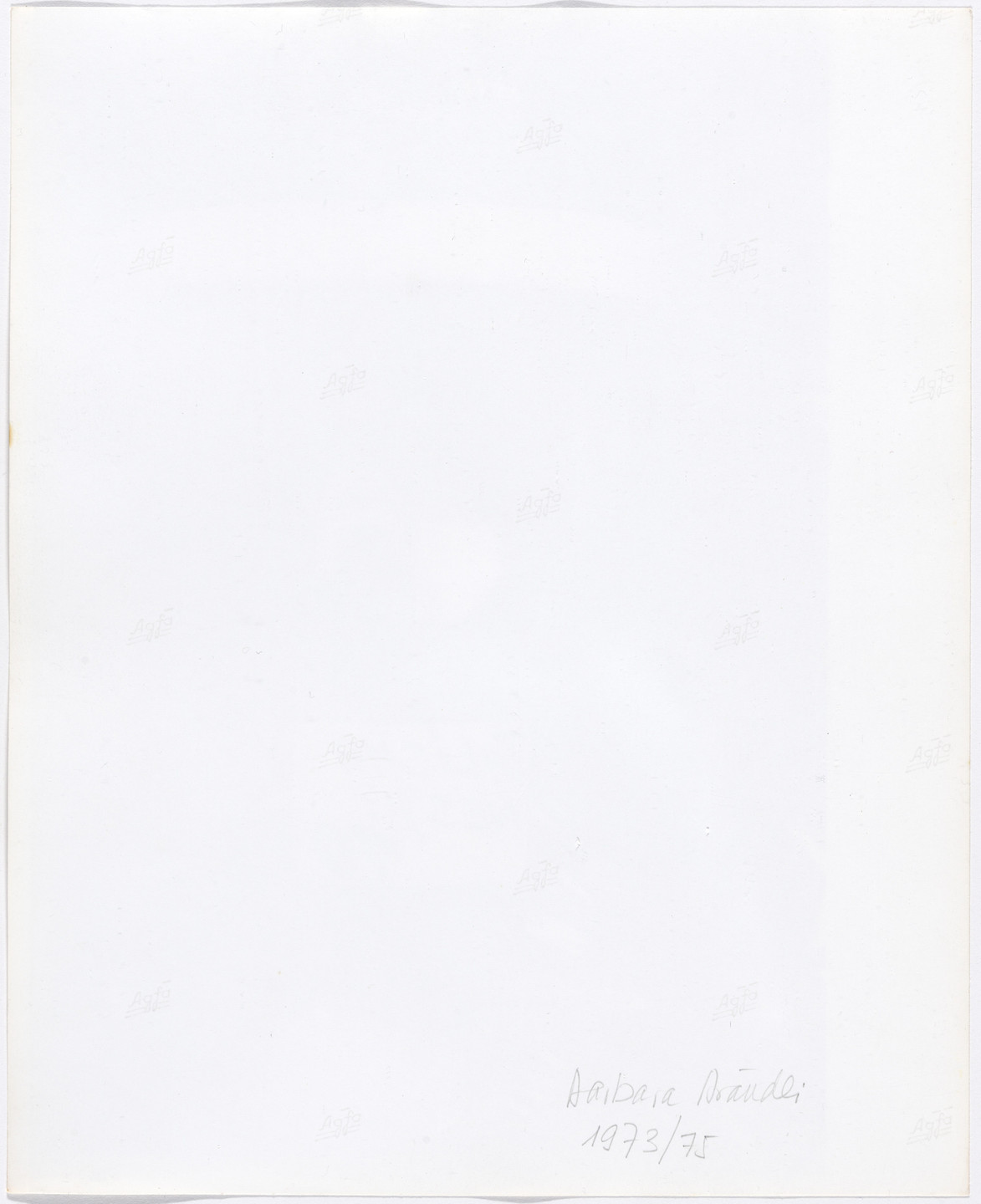 Barbara Brändli. Untitled from the series Sistema nervioso (Nervous System). 1974–75