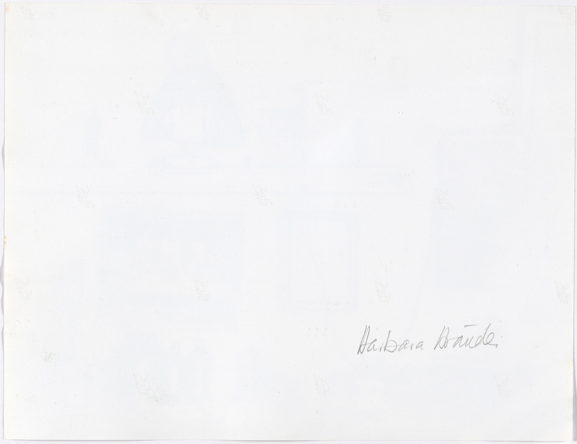 Barbara Brändli. Untitled from the series Sistema nervioso (Nervous System). 1974–75