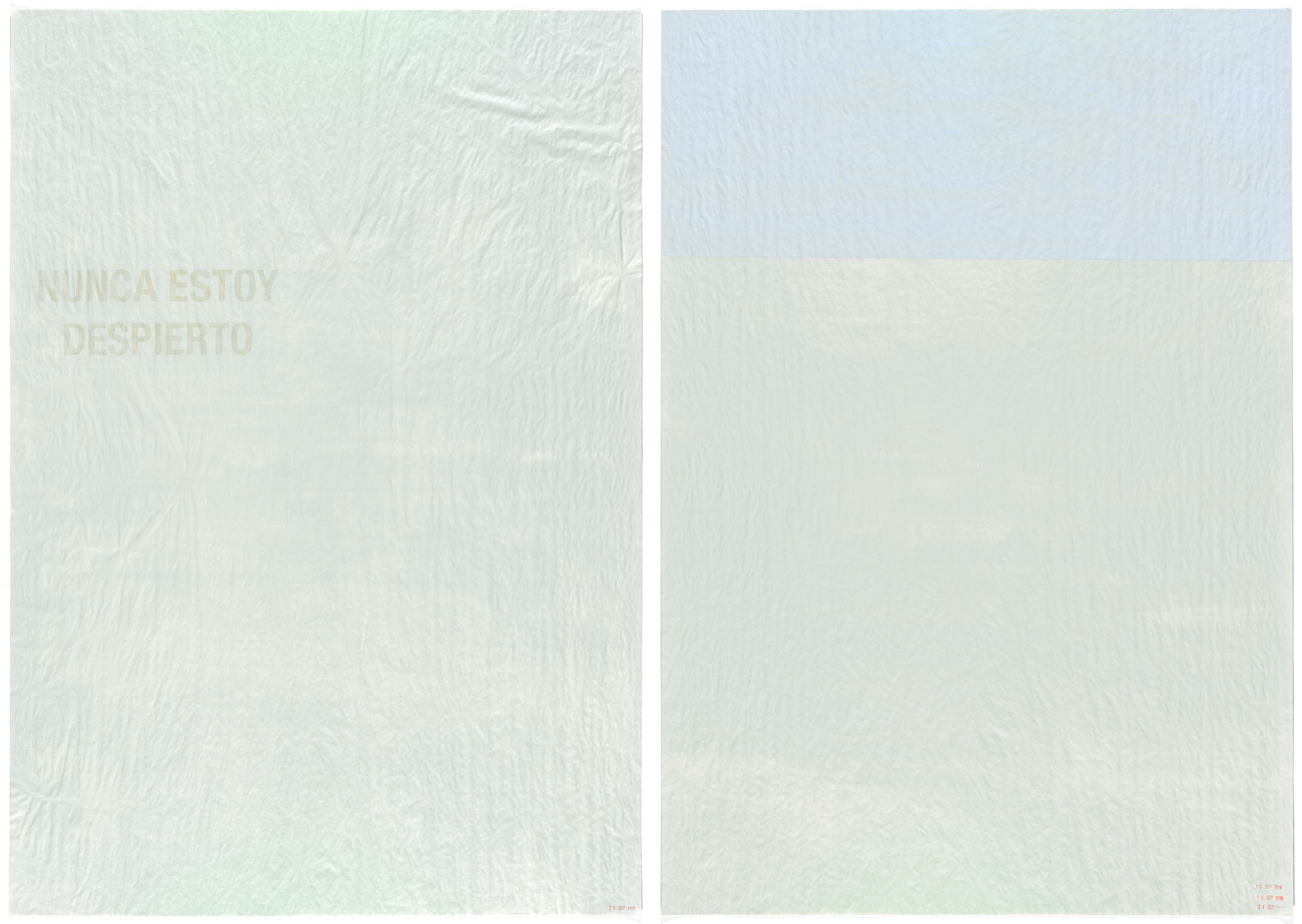 Bernardo Ortiz Campo. Untitled Diptych (I Am Never Awake. September 24–26) (Nunca estoy despierto. 24–26 de sept). 2010