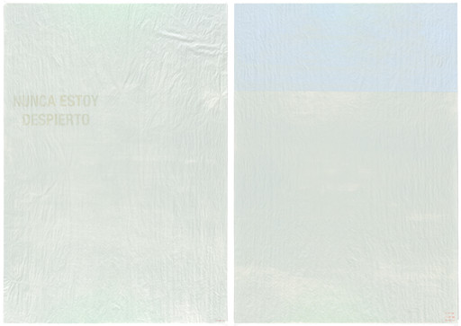 Bernardo Ortiz Campo. Untitled Diptych (I Am Never Awake. September 24–26) (Nunca estoy despierto. 24–26 de sept). 2010