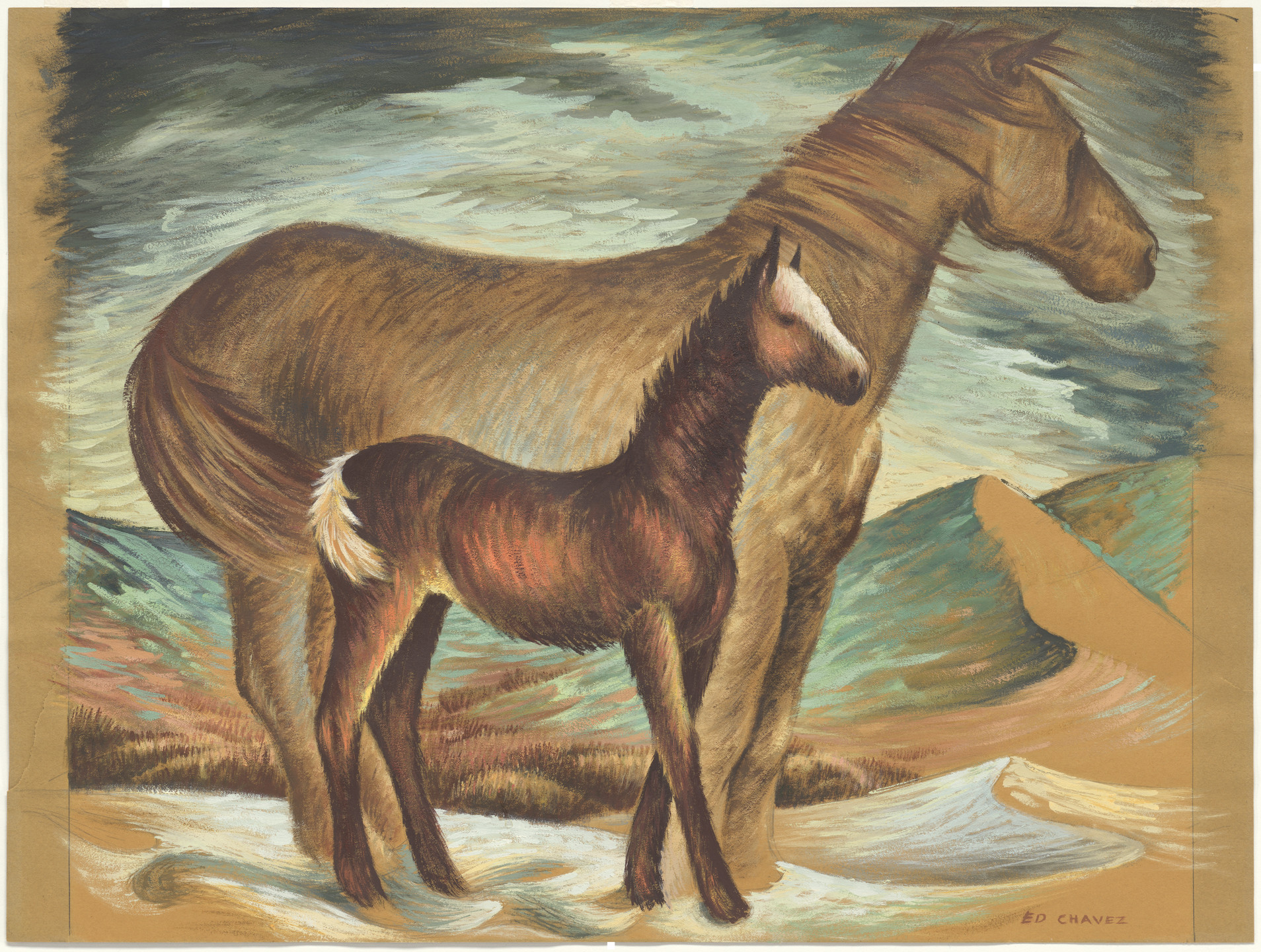 Edward Chavez. Colt. (c. 1939)