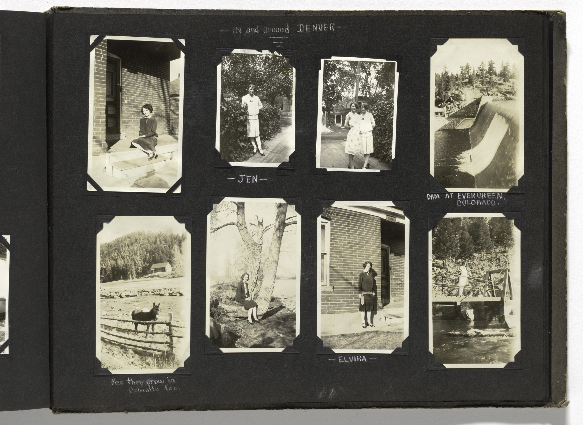 Blanche Parker. Untitled