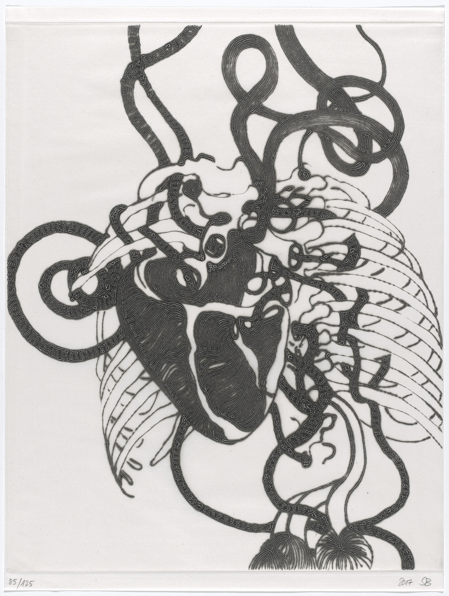 Silvia Buonvicini. Sans titre