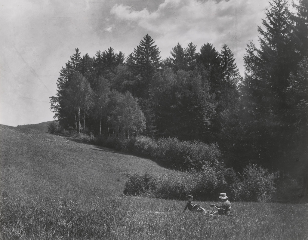 From Upper Austria (Aus Ober-Österreich)