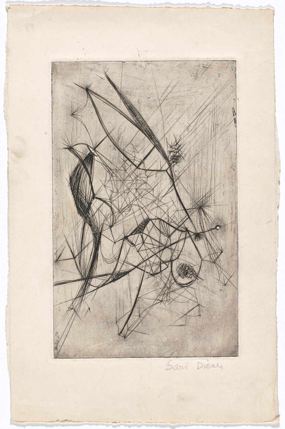 Sari Dienes. Flight 1 Stage 4. 1949