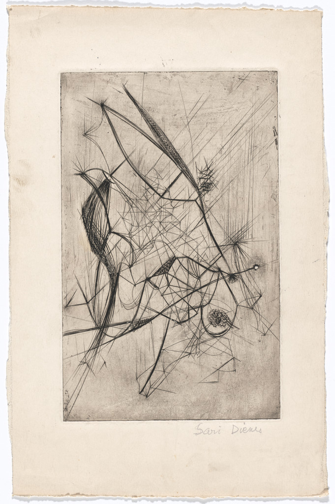 Flight 1 Stage 4, Sari Dienes, 1949