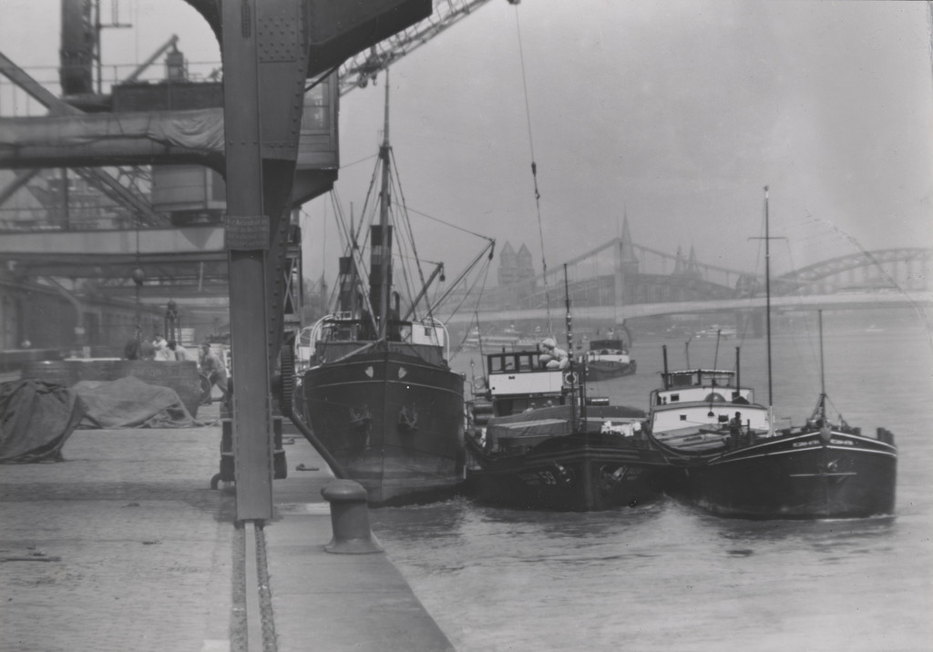 The Harbor