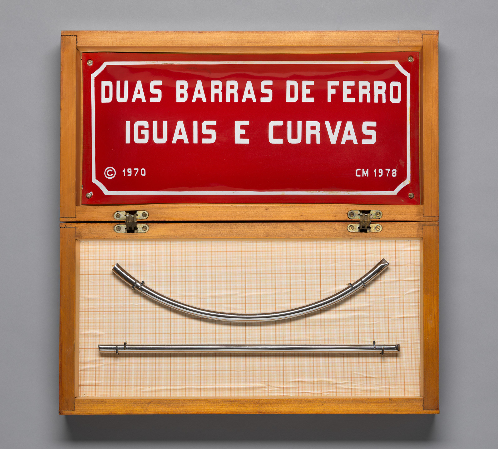 Cildo Meireles. To Be Curved with the Eyes. 1970/78
