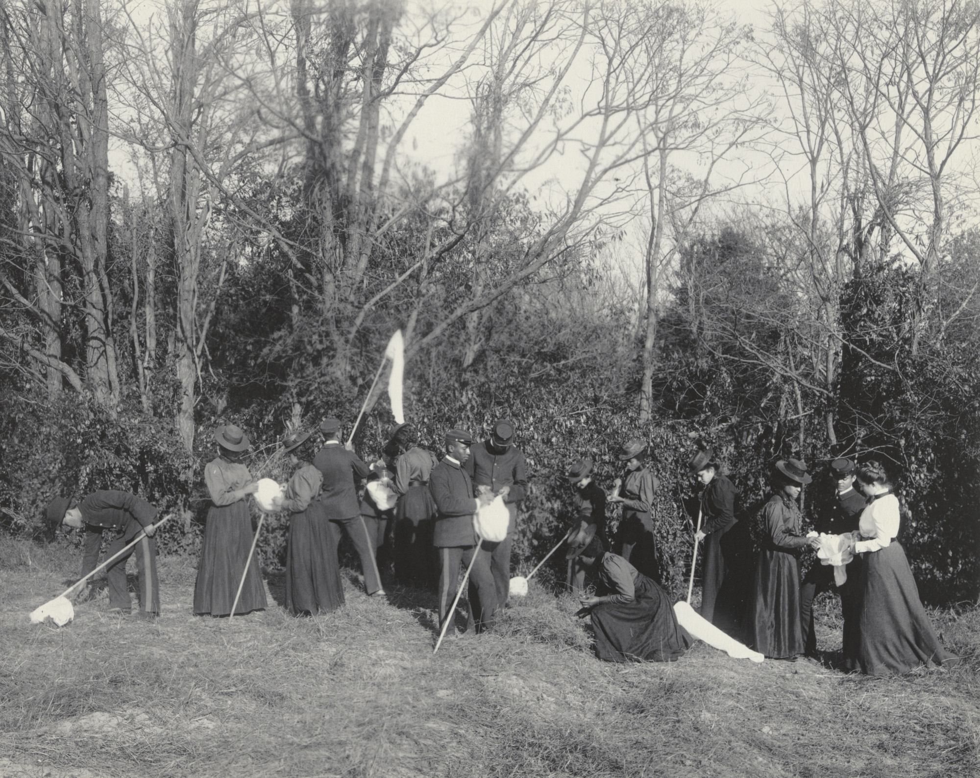 Frances Benjamin Johnston. Agriculture. Animal life. Collecting specimens