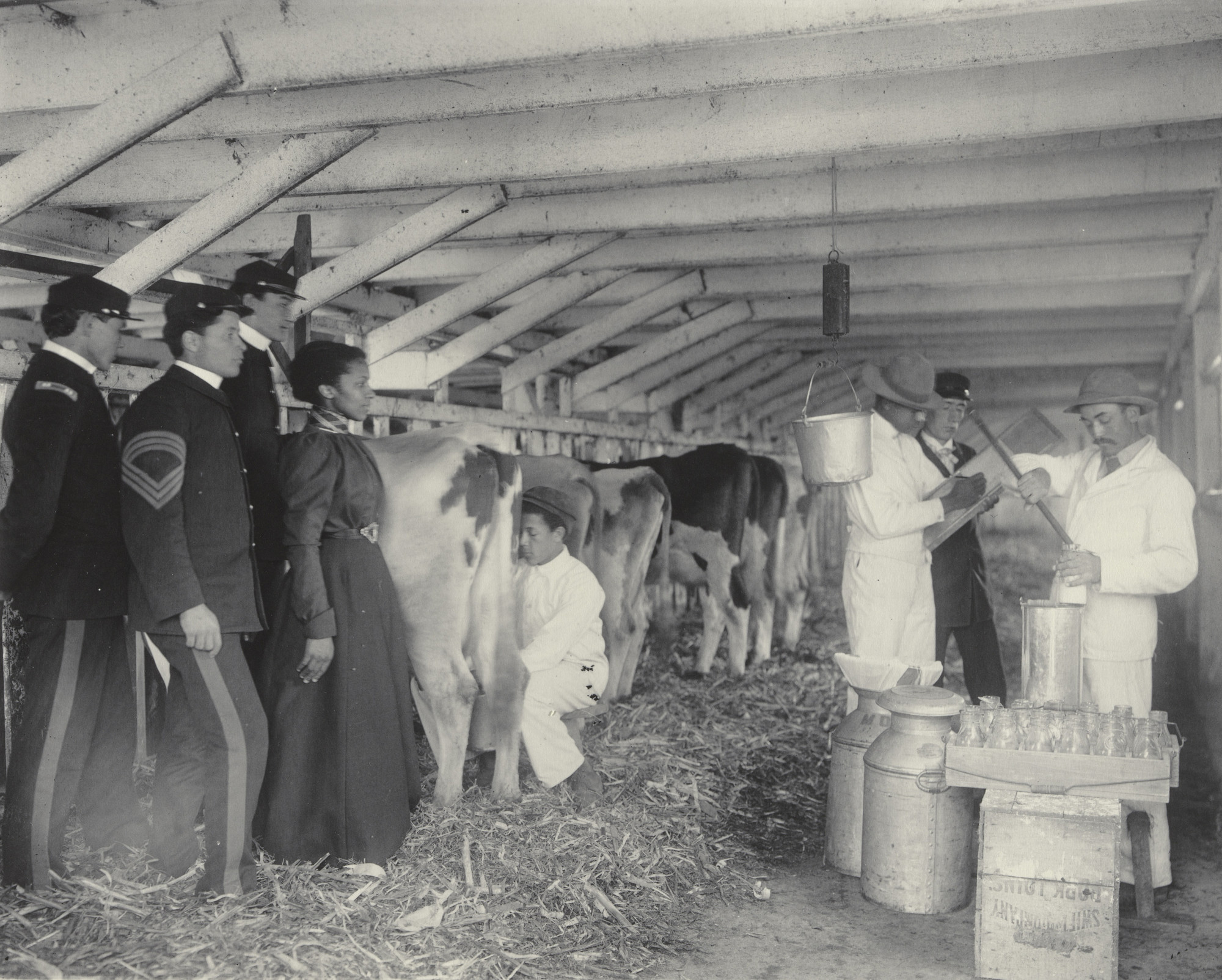 Frances Benjamin Johnston. Agriculture. Sampling milk