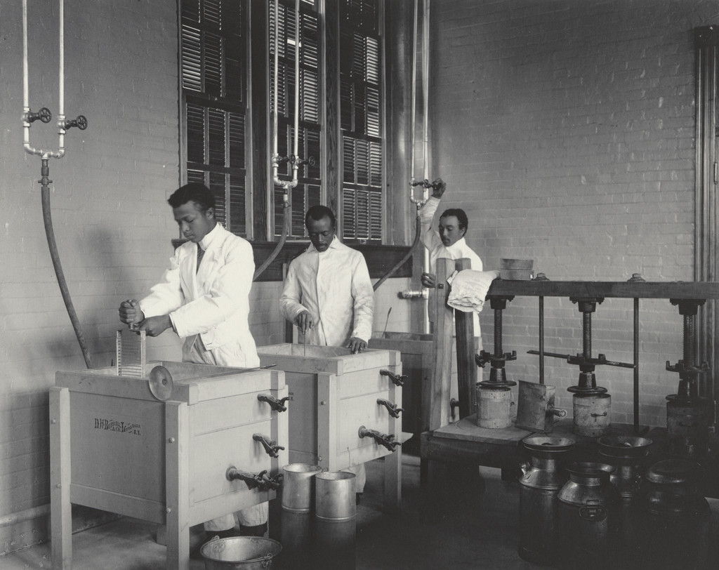 Agriculture. Cheese-making