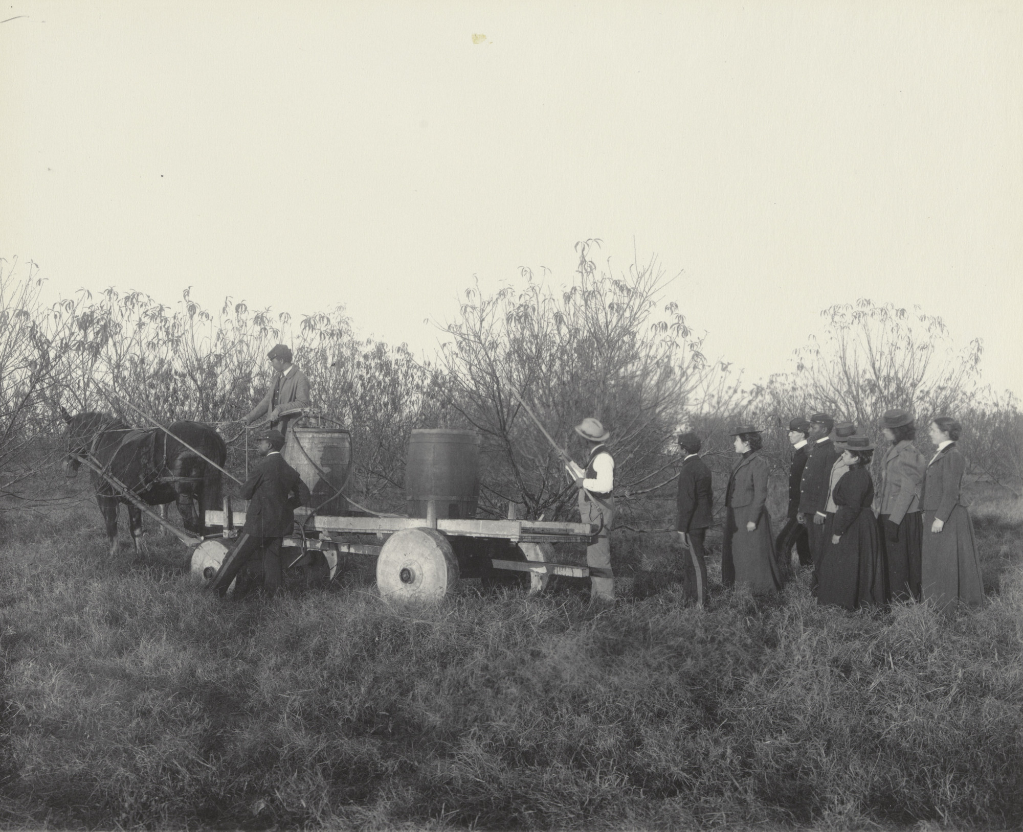 Frances Benjamin Johnston. Agriculture. Spraying the orchard