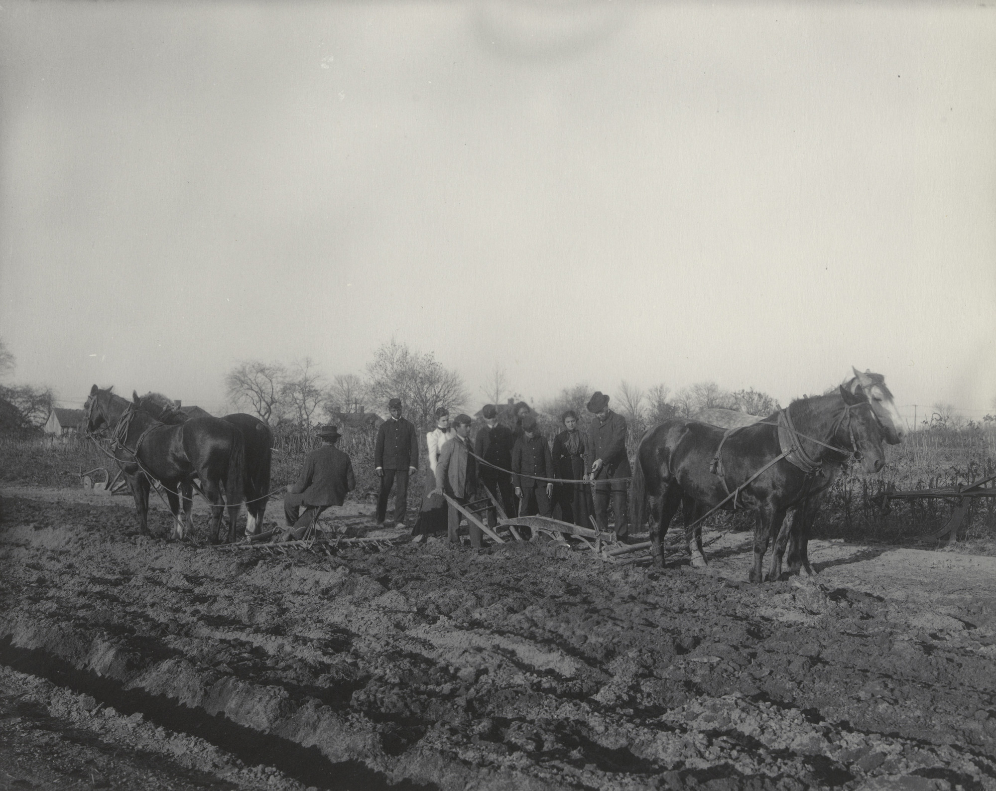 Frances Benjamin Johnston. Agriculture. Tillage of the soil