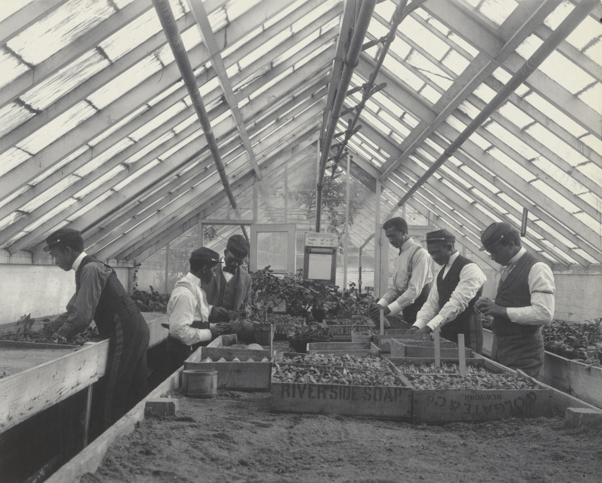 Frances Benjamin Johnston. Agriculture - Plant life. Propagating