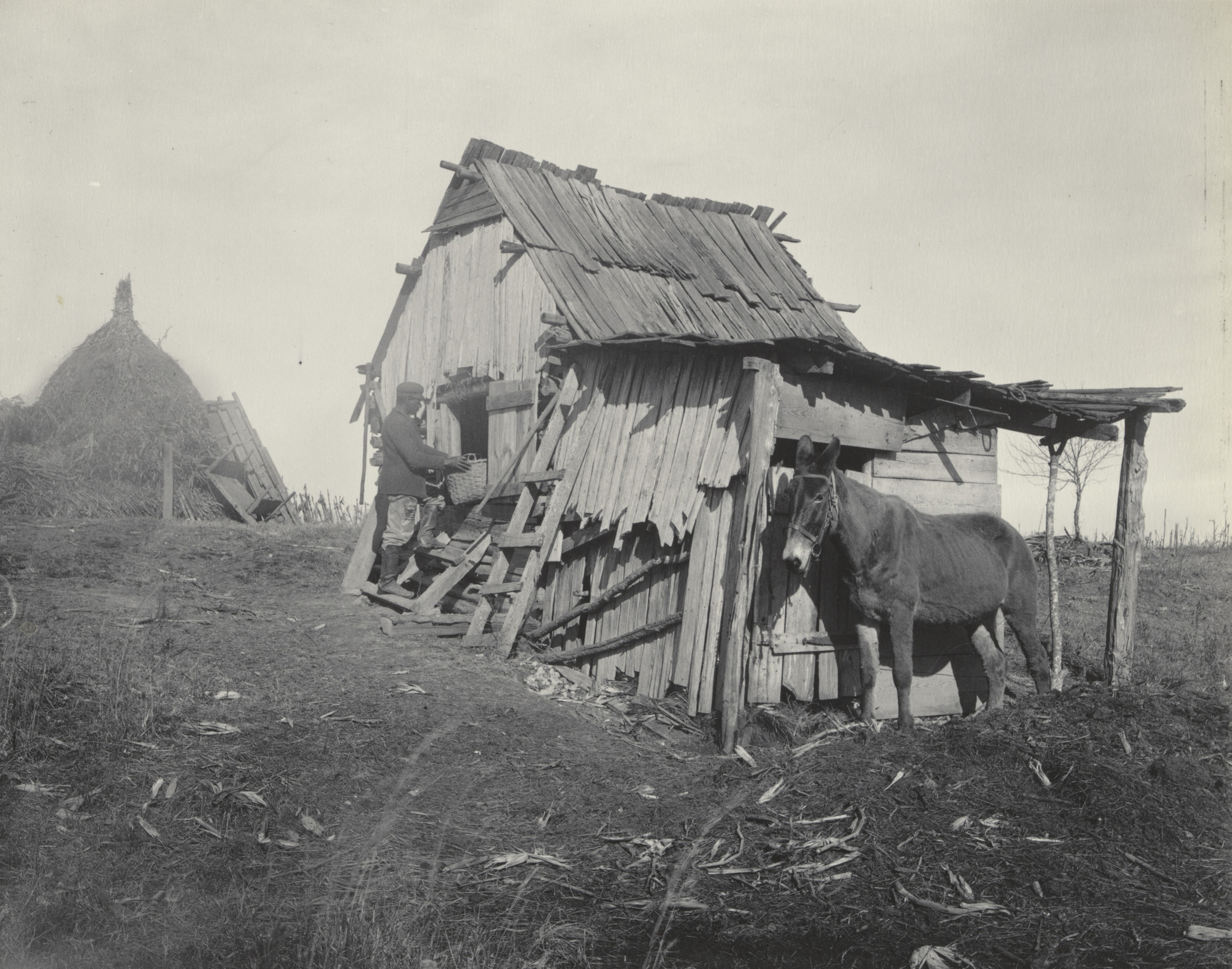 Frances Benjamin Johnston. Barn on a "one mule farm."
